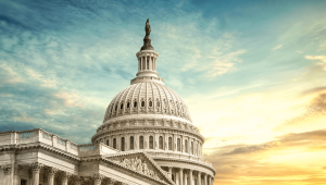 Government Government
